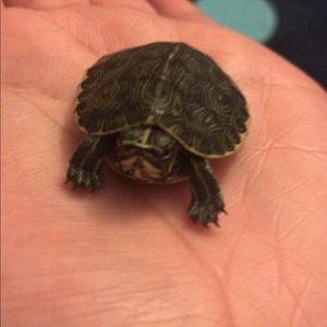 Meet your Posher, Argelia